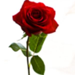 Meet your Posher, Zoe